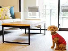 Regina Resort Hakone Sengokuhara