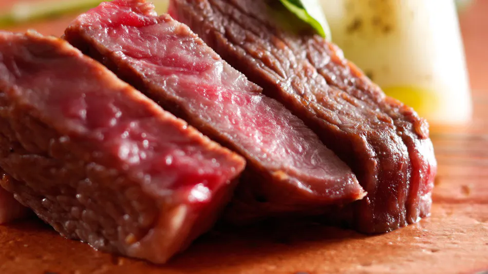 The Shiroyama Terrace Tsuyama Villa