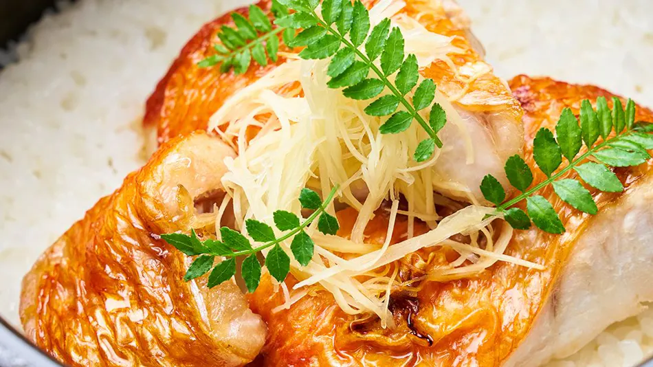 Fuji San Mishima Tokyu Hotel