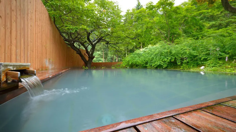 Mountain God Onsen Bessho Seiryukan