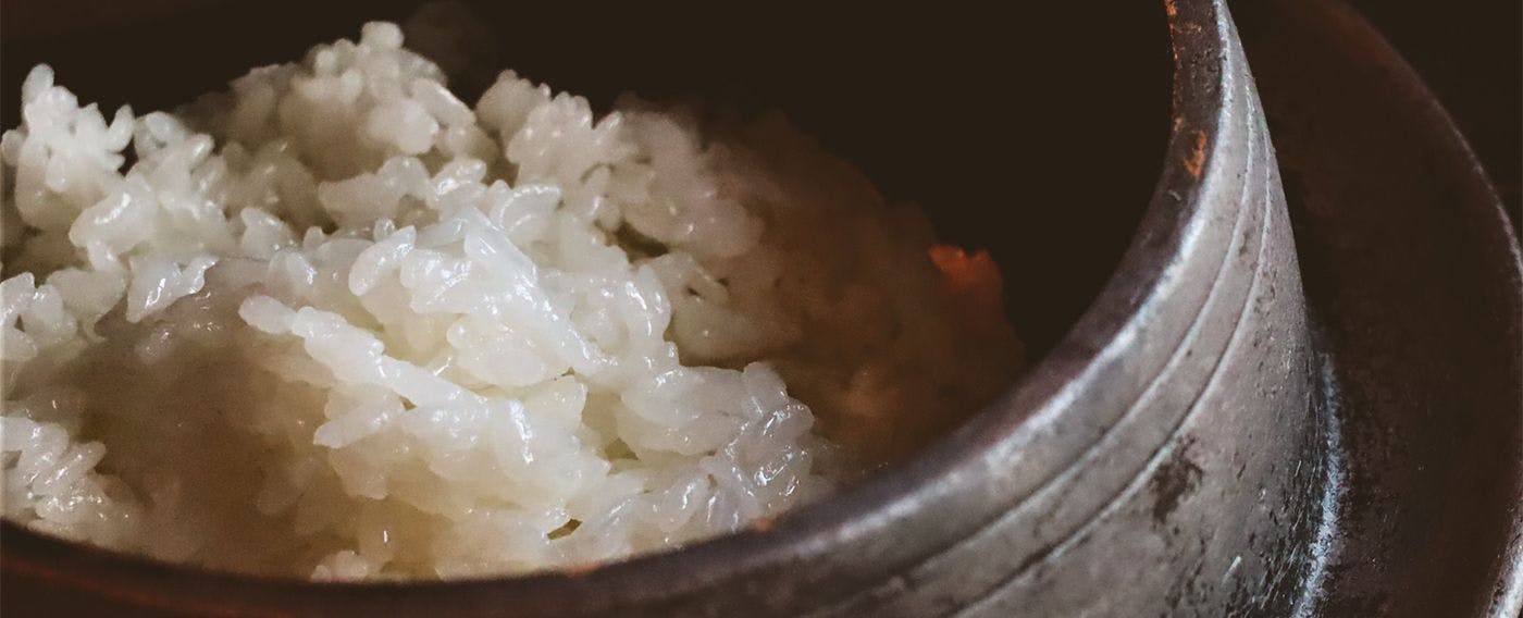 ตัวอย่างอาหาร