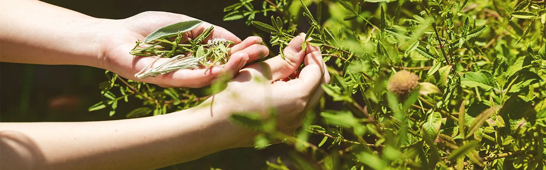 えたじま温泉 江田島荘