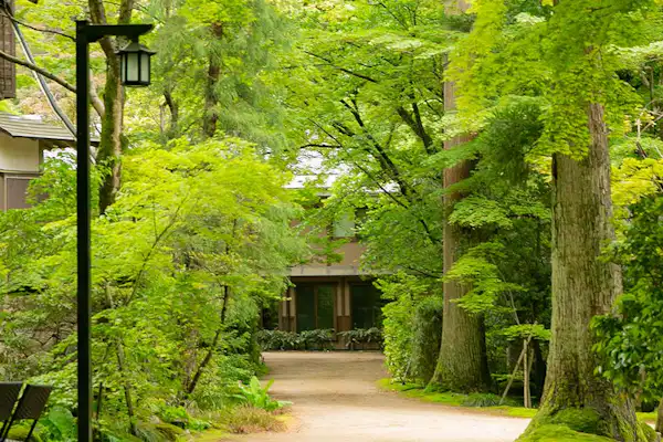 เส้นทางเดินเล่น