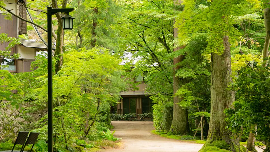 A Tranquil Forest Retreat with Historic Cultural Property Villas
