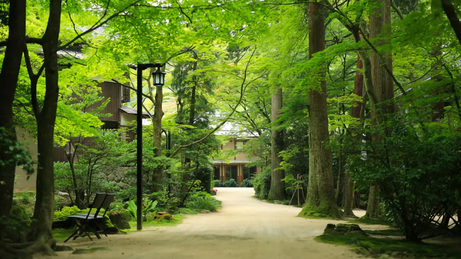 A Tranquil Forest Retreat with Historic Cultural Property Villas