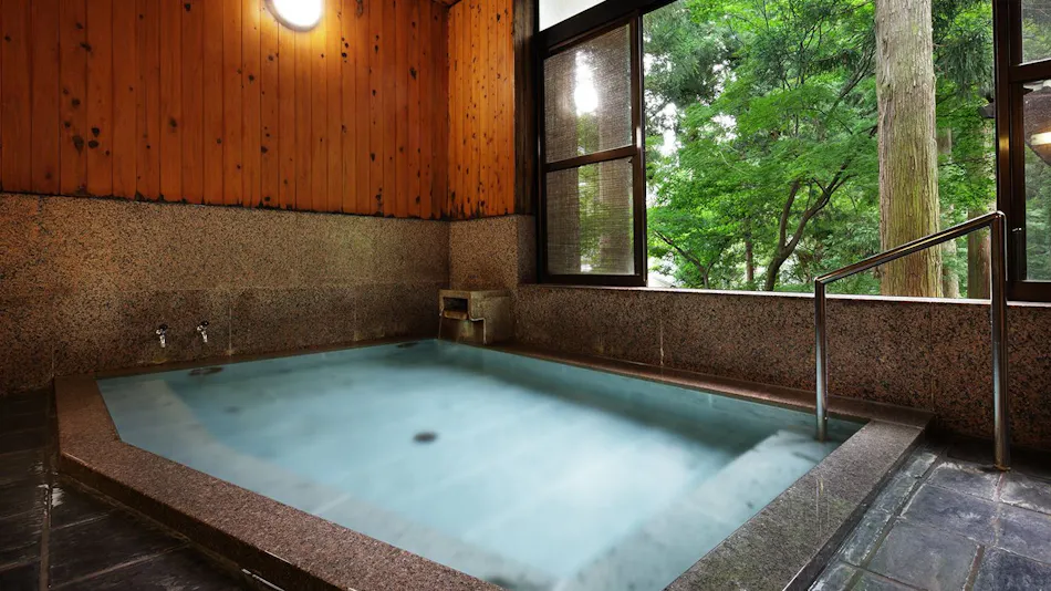 A Tranquil Forest Retreat with Historic Cultural Property Villas