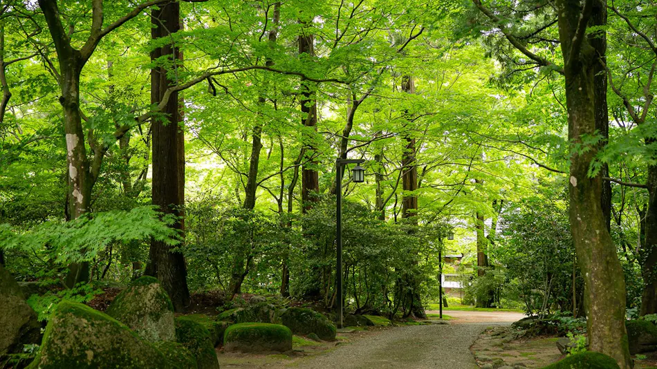 A Tranquil Forest Retreat with Historic Cultural Property Villas