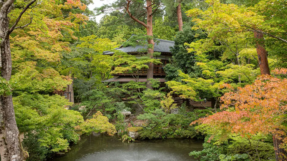 A Tranquil Forest Retreat with Historic Cultural Property Villas
