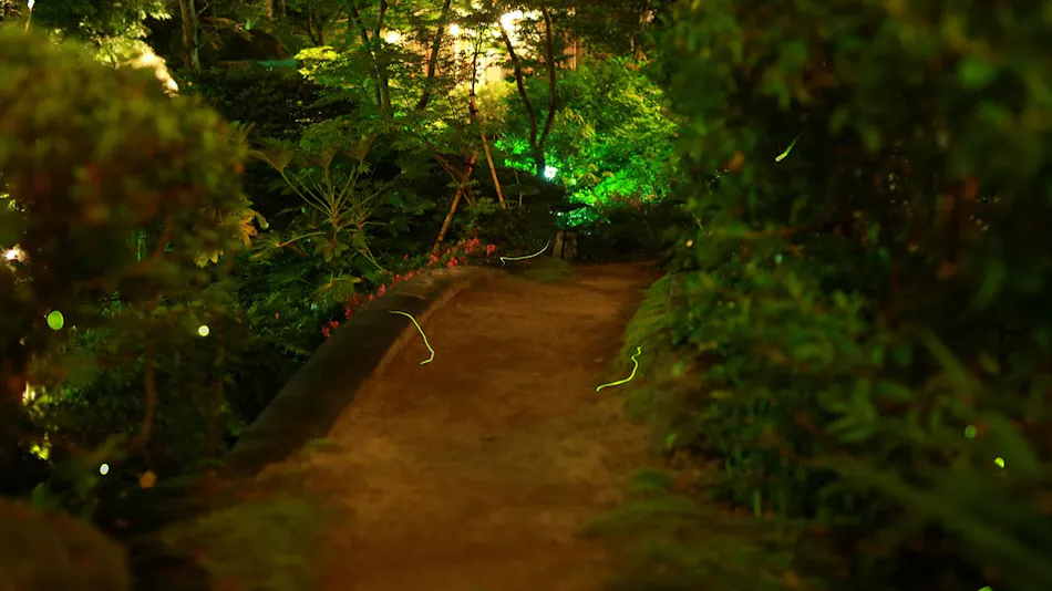 A Tranquil Forest Retreat with Historic Cultural Property Villas