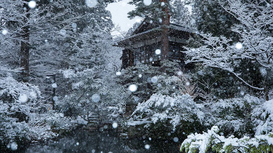A Tranquil Forest Retreat with Historic Cultural Property Villas