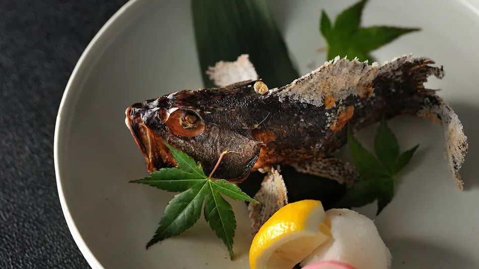 GOTO RETREAT ray by Onko Chishin