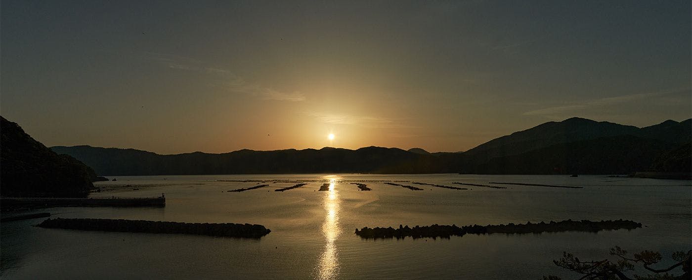 Rupa luar & pintu masuk