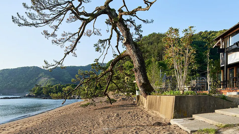 Wakasa Kajitsu: An Inn to Enjoy the Sea, Cuisine, and Culture of Miketsukuni Wakasa