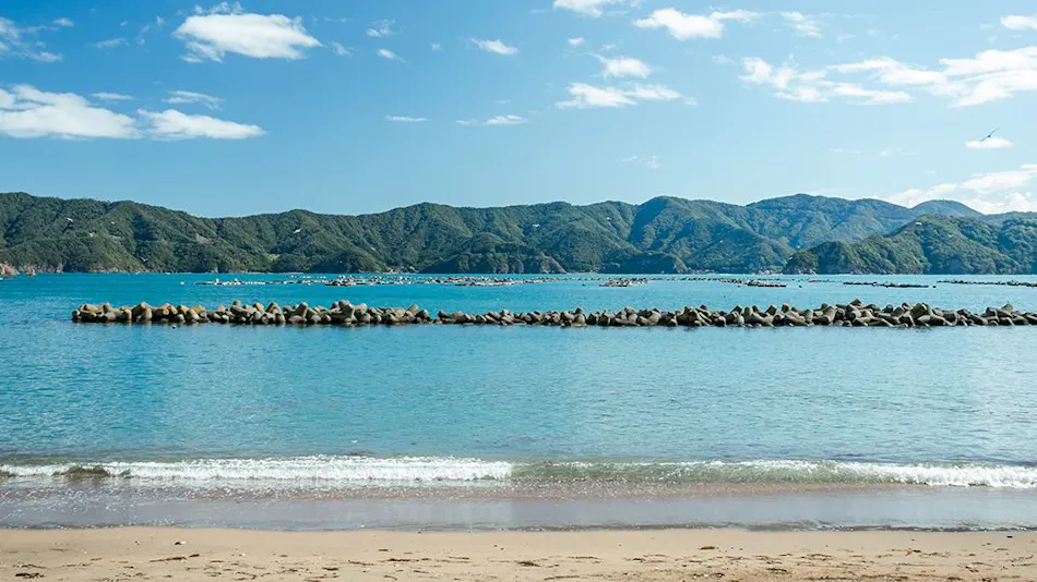 Wakasa Kajitsu: An Inn to Enjoy the Sea, Cuisine, and Culture of Miketsukuni Wakasa