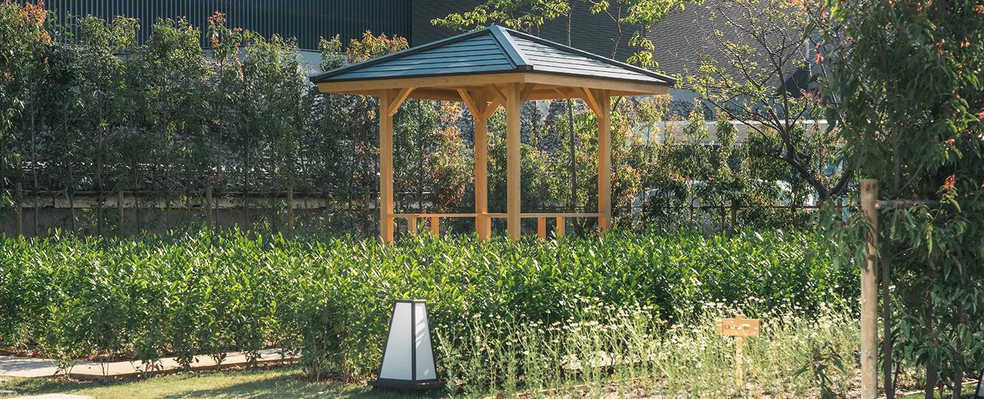 豊国神社の未利用地をオーガニックに再生する取り組みとして、ハーブや野菜を育てています