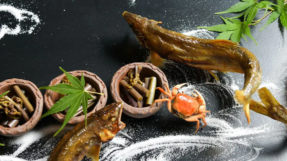 Frog ~KAWAZU~