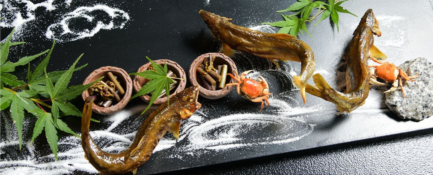蛙～KAWAZU～