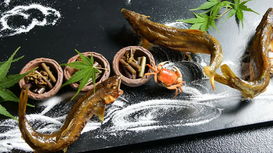 Frog ~KAWAZU~