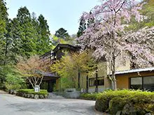 四万温泉　鹿覗きの湯　つるや