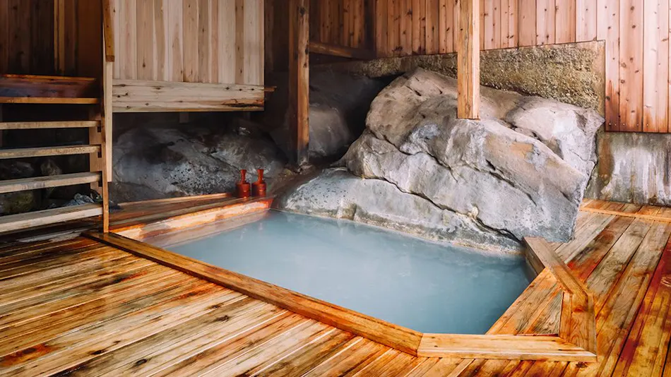 Magoroku Onsen Rokuan