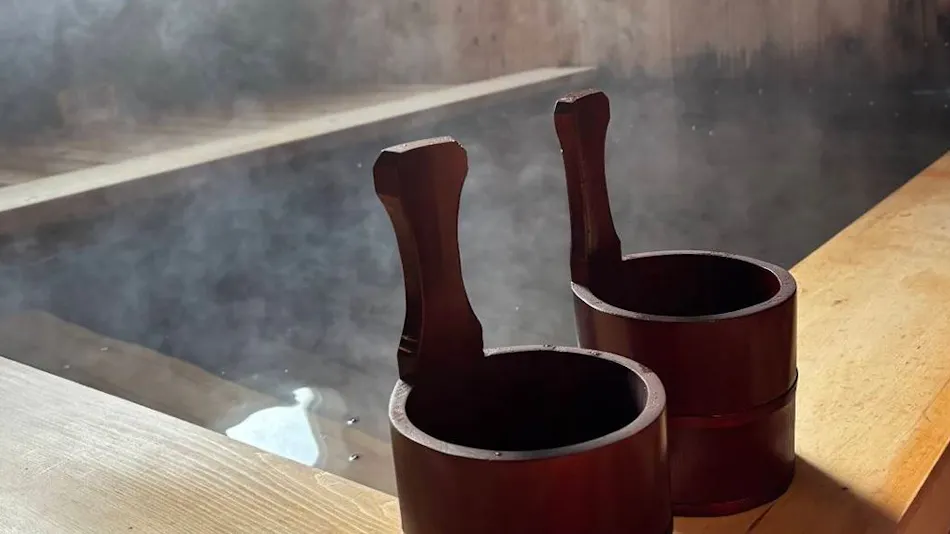 Magoroku Onsen Rokuan