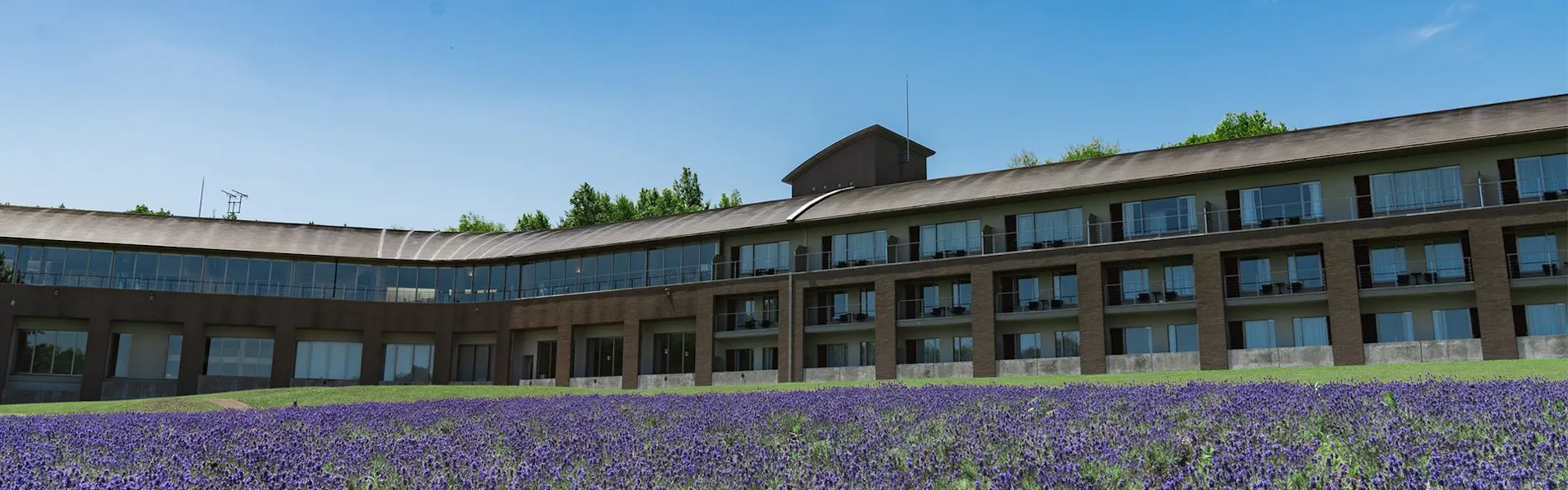 富良野ホテル FURANO HOTEL