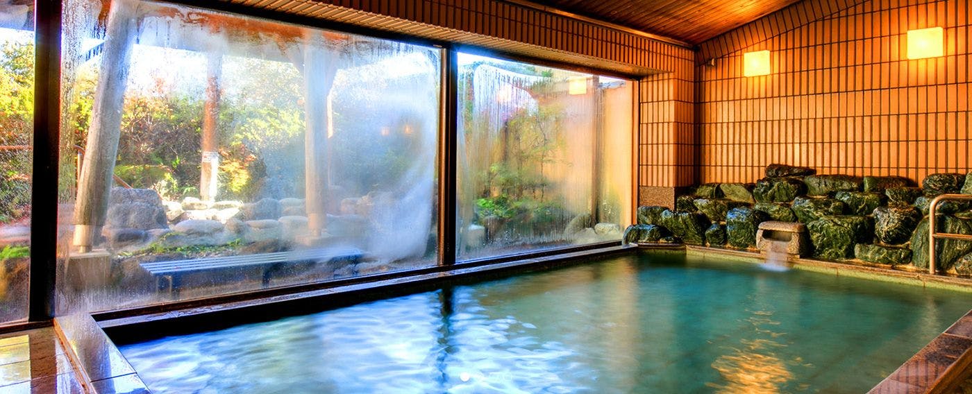 Forest Resort Conifer Iwabitsu