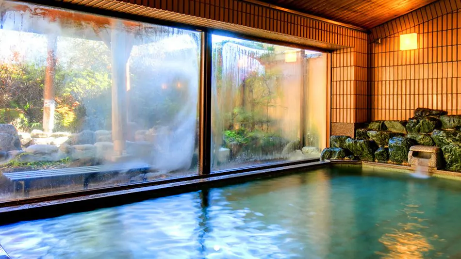 Forest Resort Conifer Iwabitsu