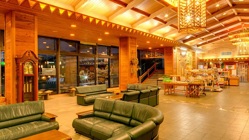 Forest Resort Conifer Iwabitsu