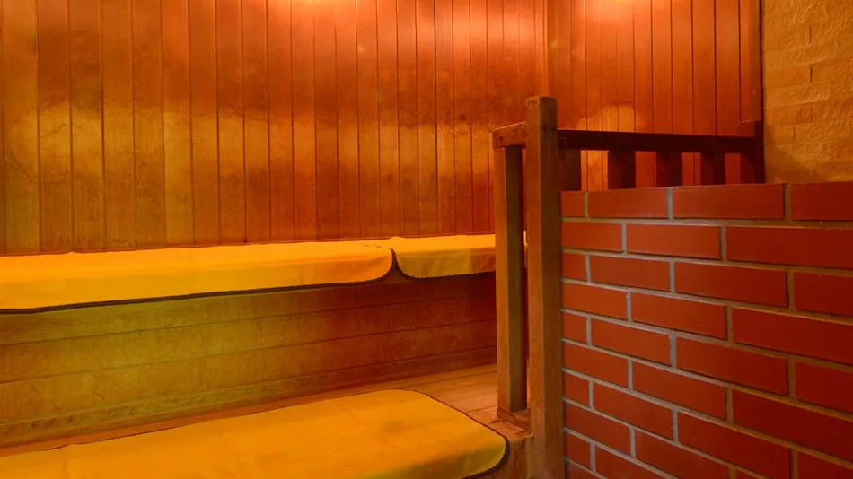 Forest Resort Conifer Iwabitsu