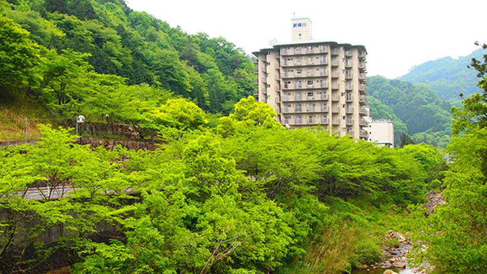 Shinkawakawa Kanko Hotel