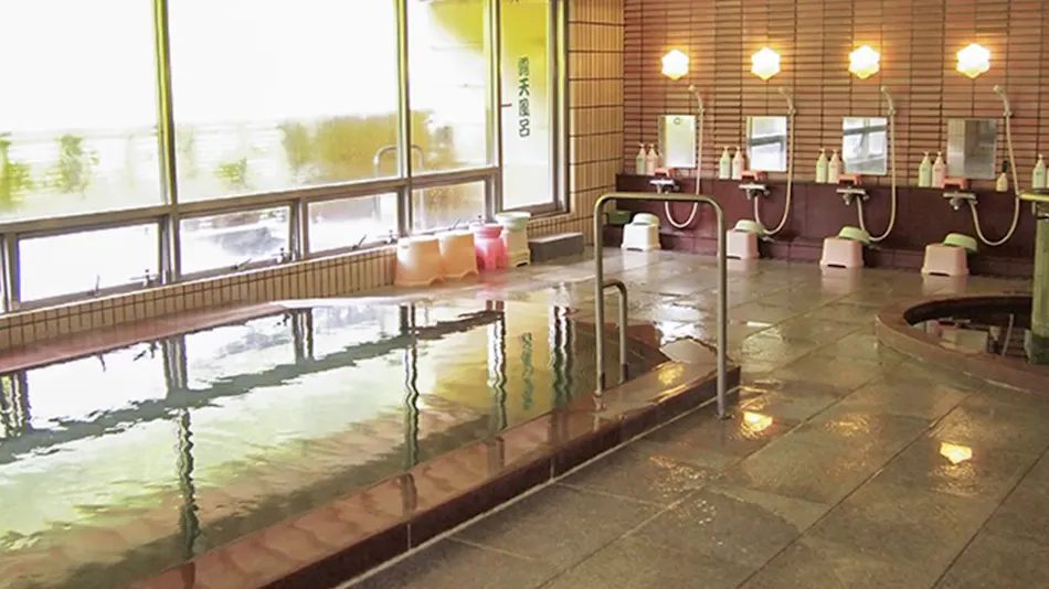 Shinkawakawa Kanko Hotel