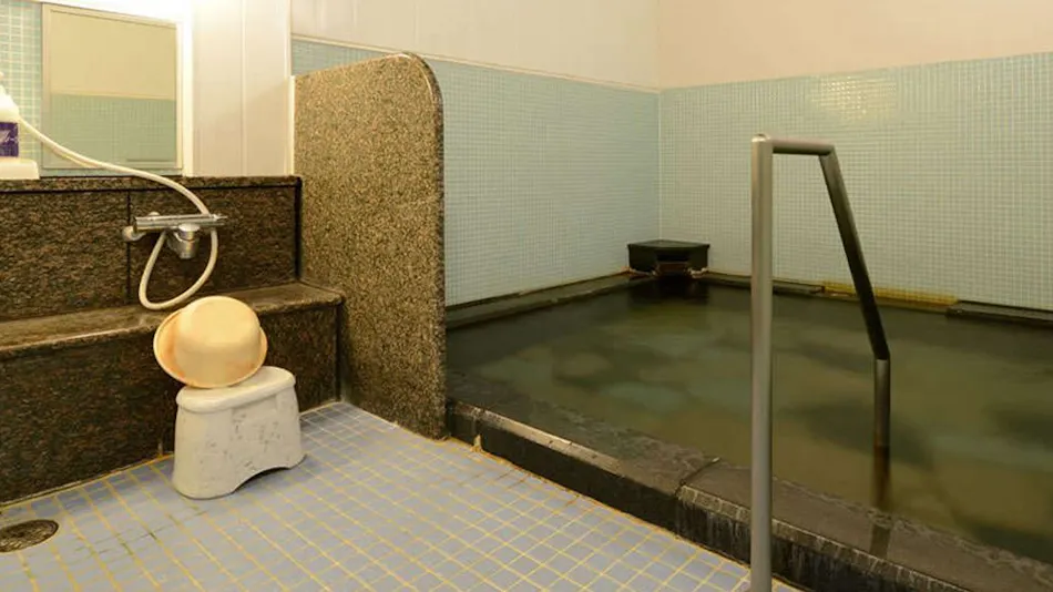 Sakunami Onsen La Raku Resort Hotel Green Green
