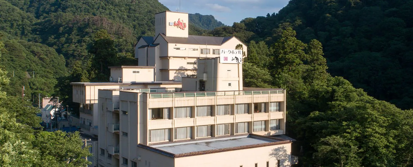 รูปลักษณ์ภายนอก