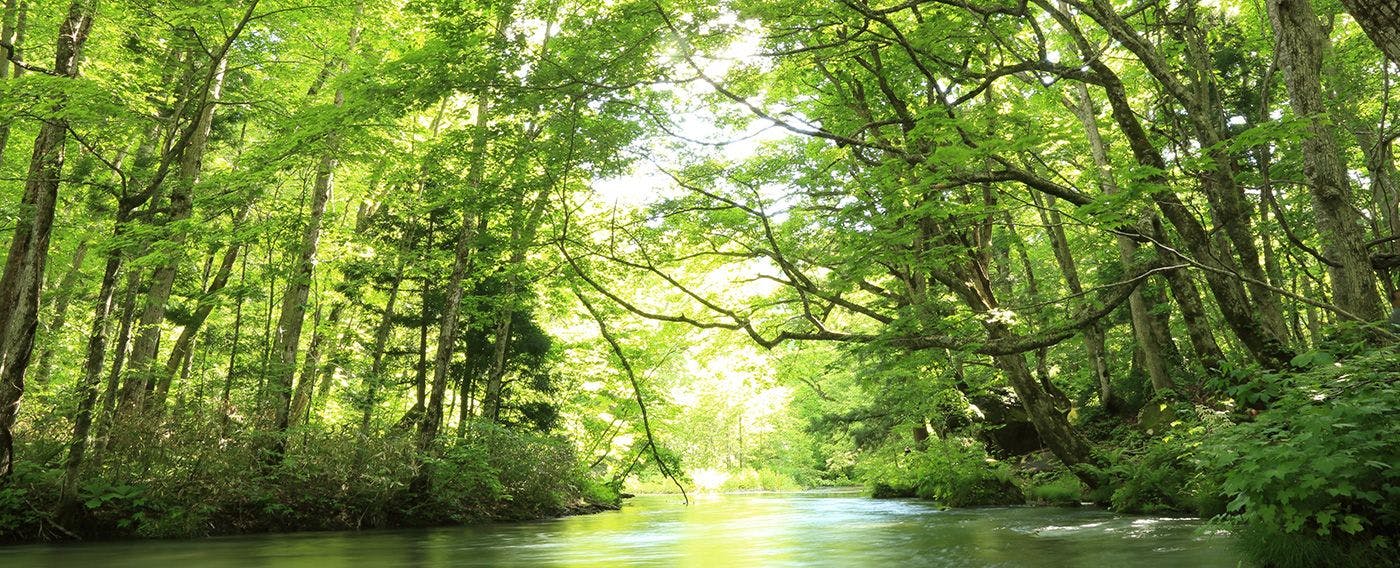 ลำธารโออิราเสะ