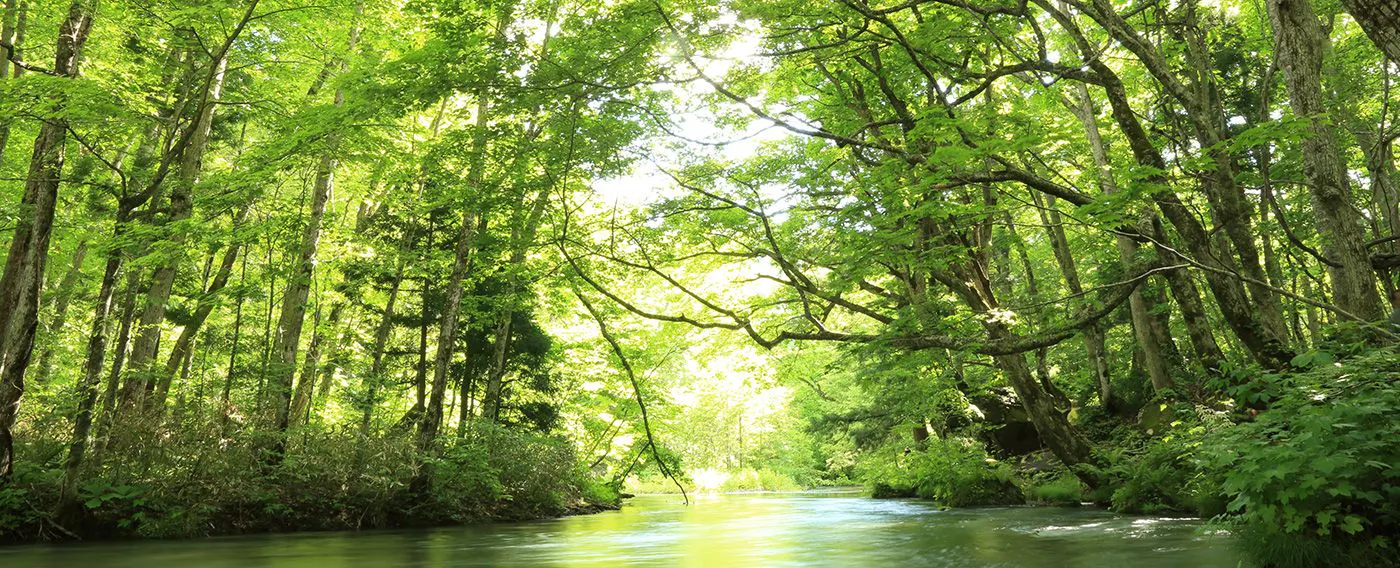 ลำธารโออิราเสะ