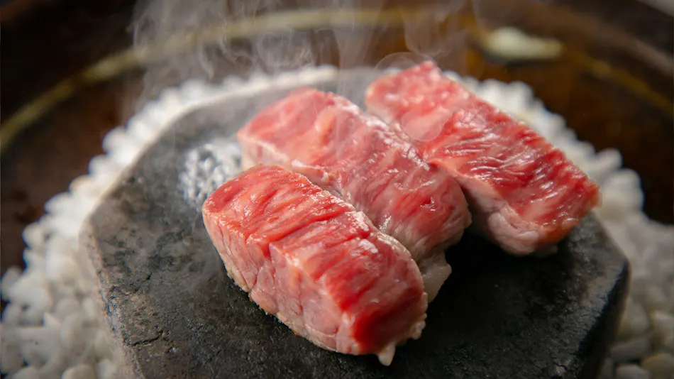Yufuin Tsubaki