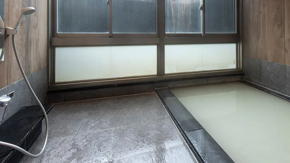 Unzen Onsen Seiunso