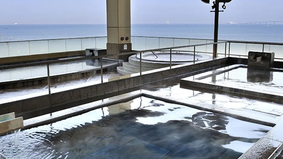 Ryugujo Spa & Hotel Mikazuki Ryugu-tei