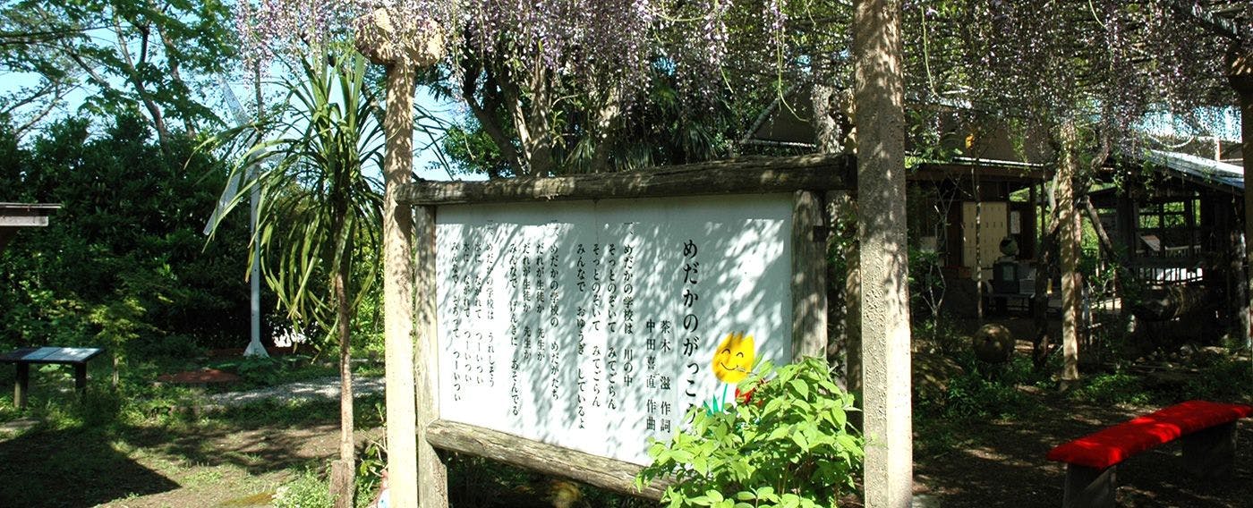 โรงเรียนเมดากะ