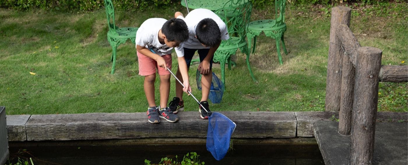 โรงเรียนเมดากะ