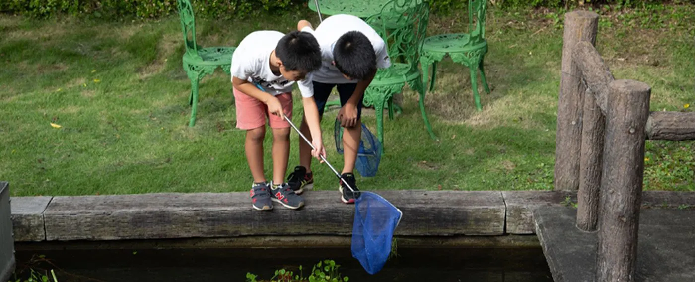 โรงเรียนเมดากะ