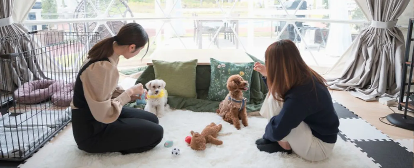 ภาพลักษณ์การเข้าพักพร้อมสัตว์เลี้ยง