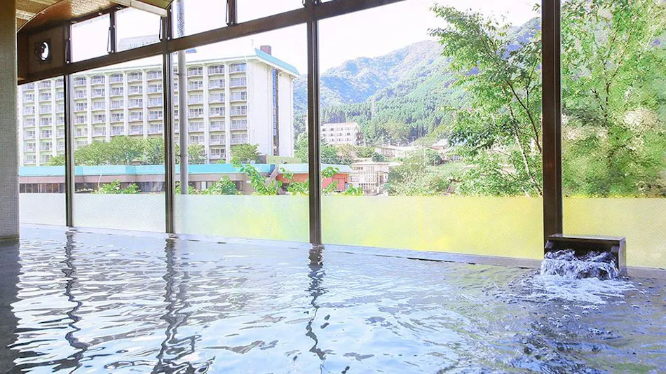 Ooedo Onsen Monogatari Hotel Kinugawa Gyoen