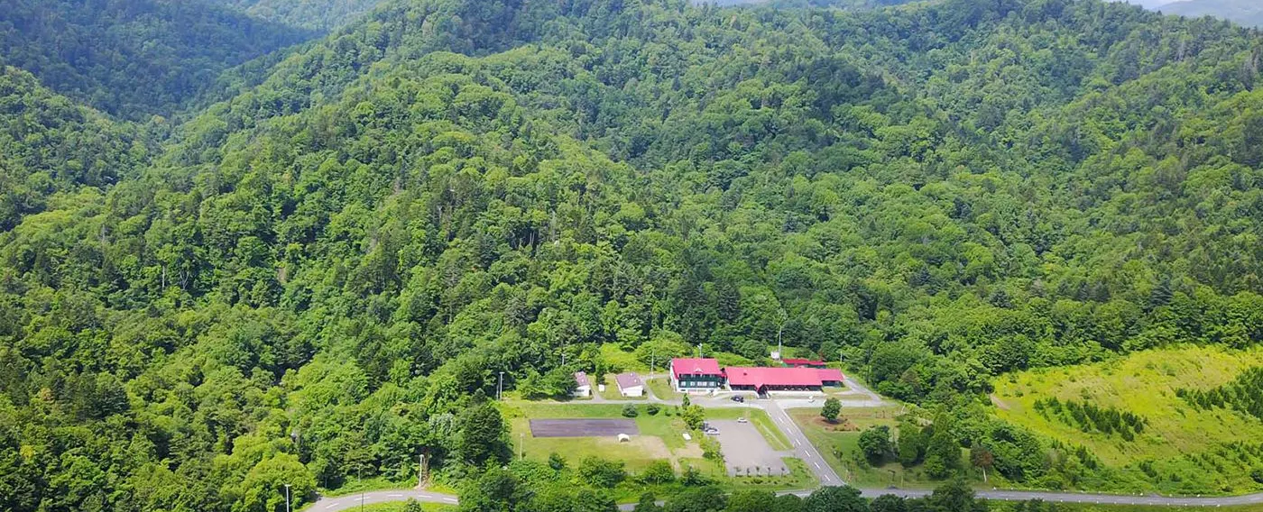 "สี่ฤดูแห่งป่า" ที่ล้อมรอบด้วยธรรมชาติ