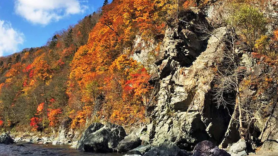 Shikotsu-Toya National Park, Forest of Four Seasons