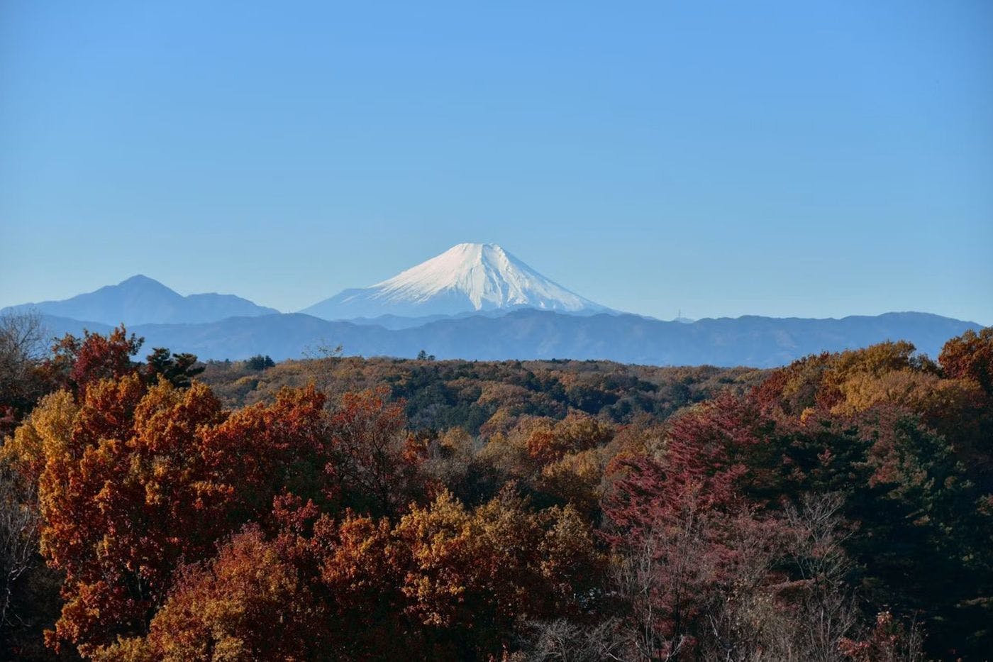주변 경치: 후지산