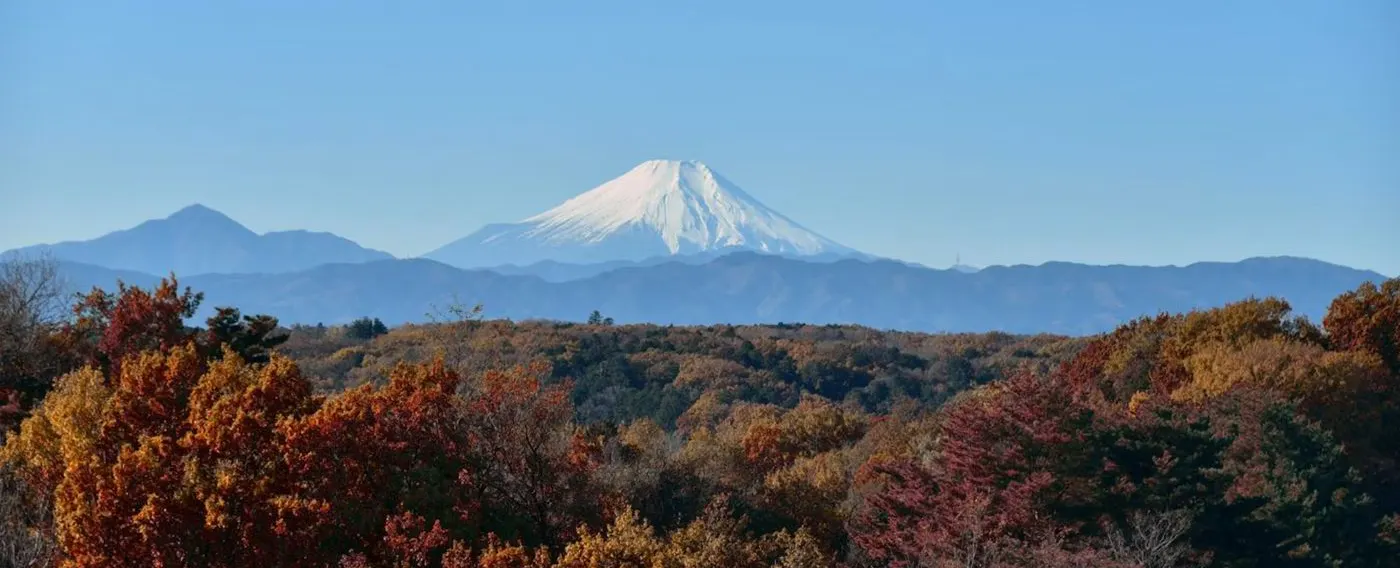 주변 경치: 후지산