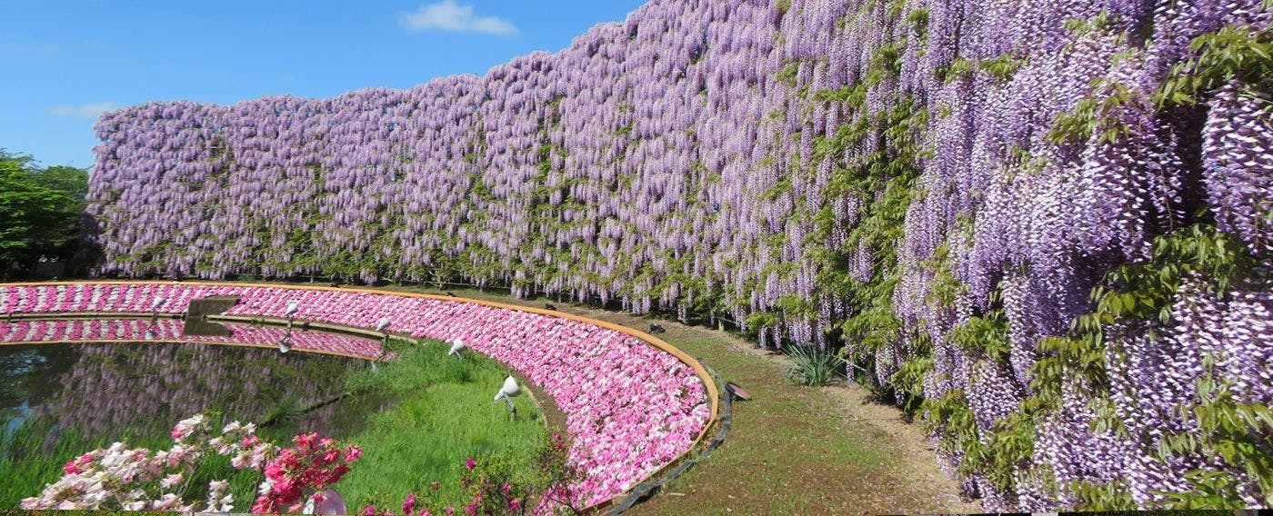 บริเวณโดยรอบ