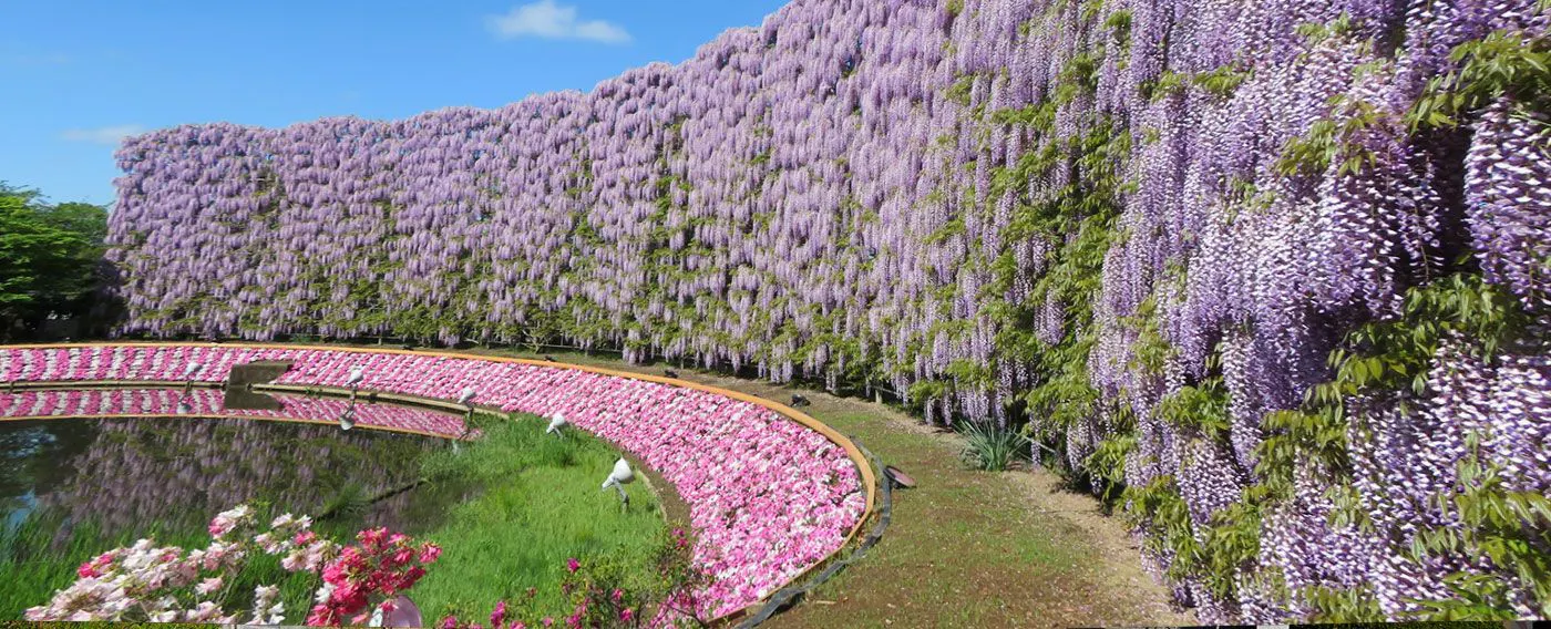 บริเวณโดยรอบ